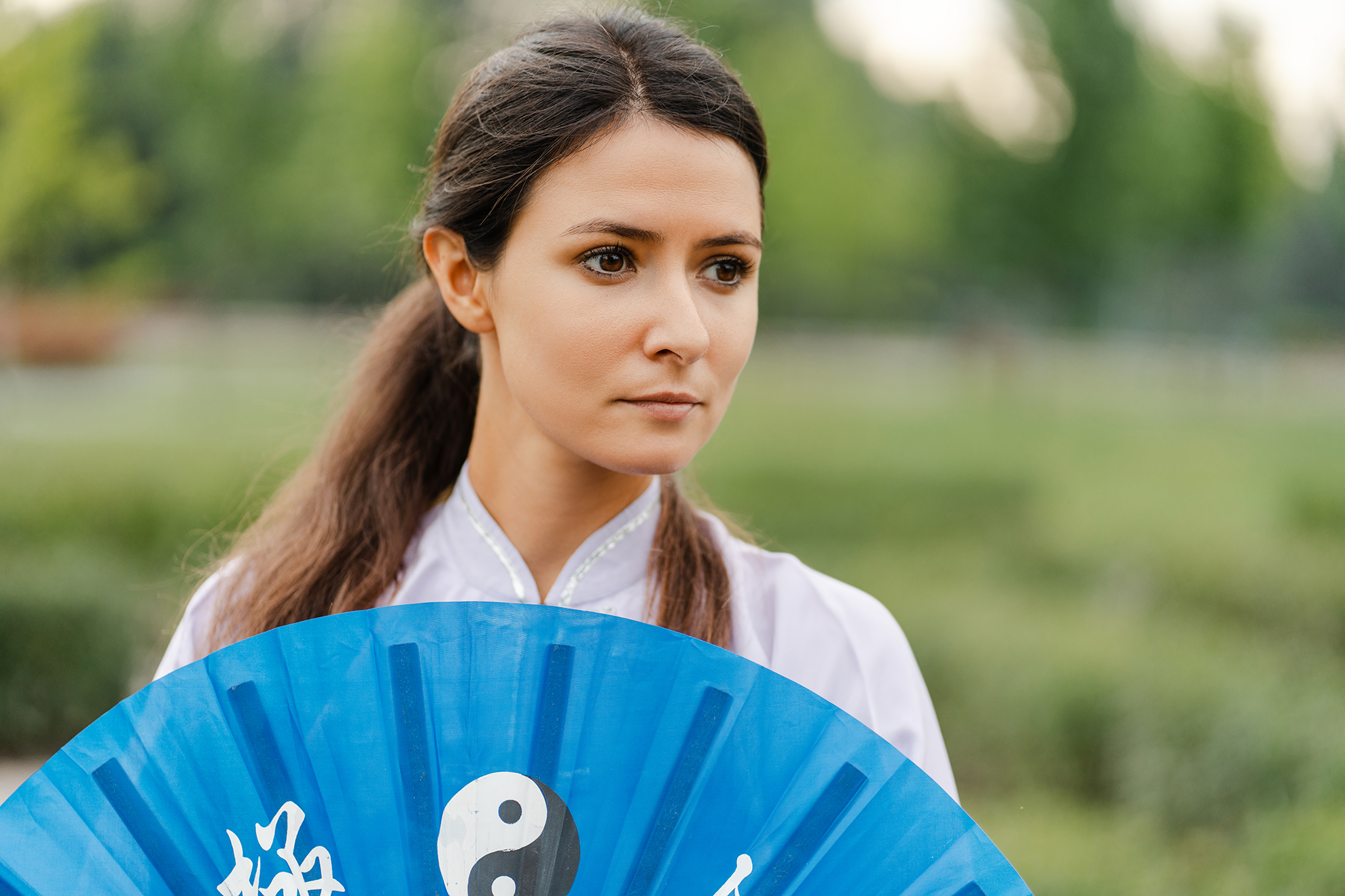 Old Pueblo Tai Chi Picnic 2025 | Fan Demo & Wudang First Set