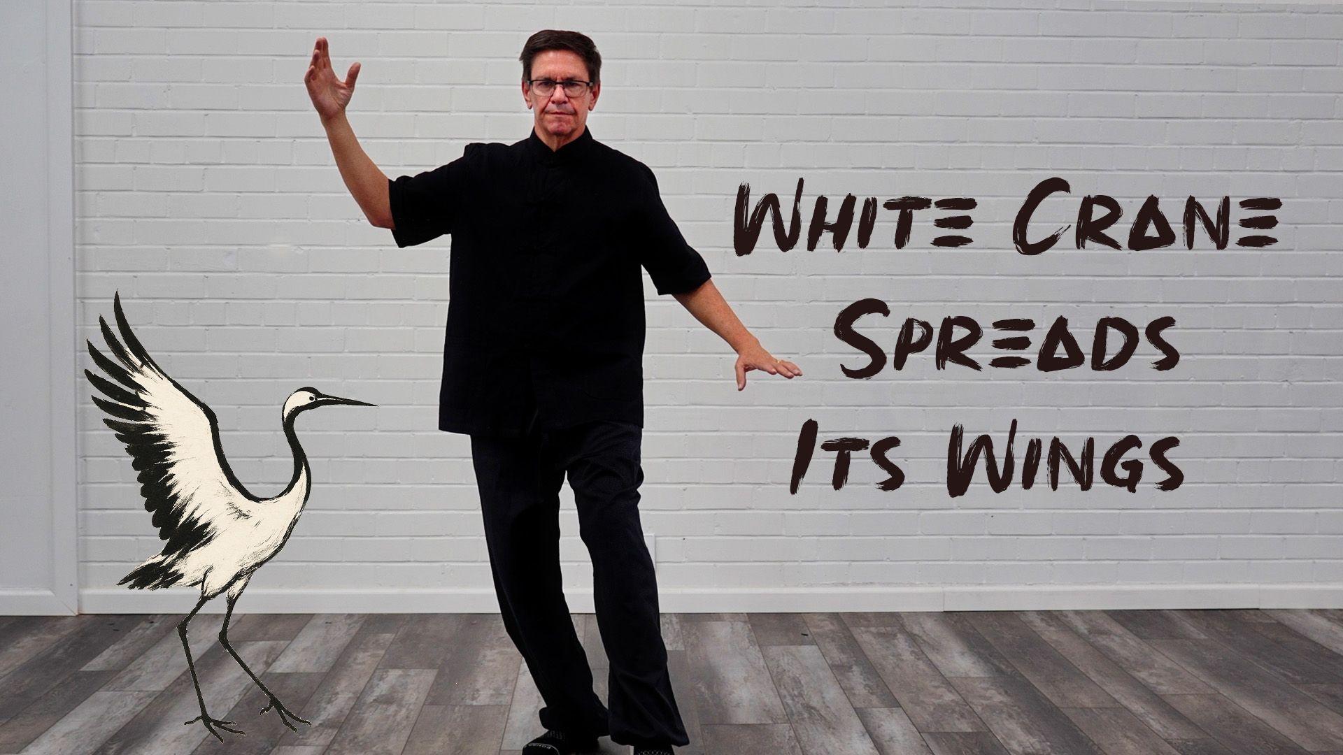 White Crane Spreads Wings Tai Chi Guide | Old Pueblo Tai Chi