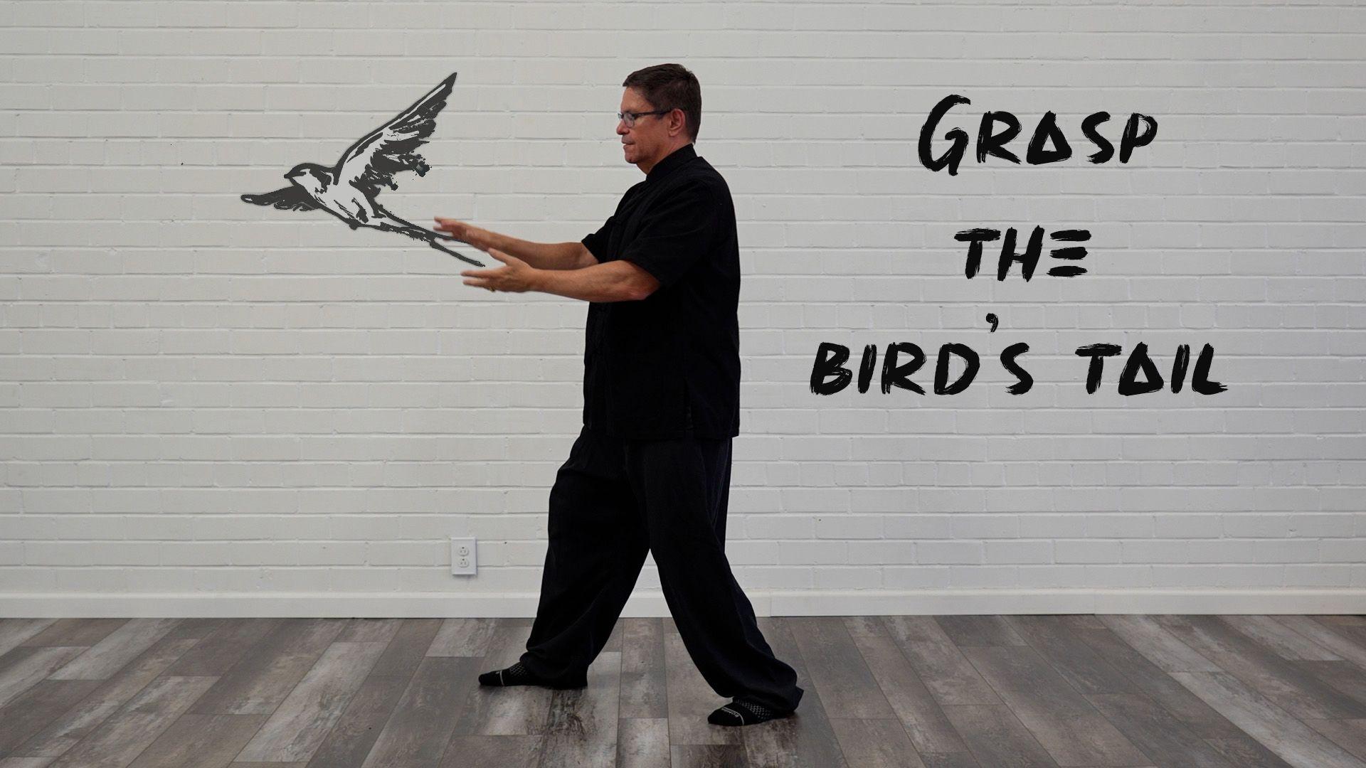 Grasp the Bird’s Tail in Tai Chi: Mastering Peng, Lu, Ji & An